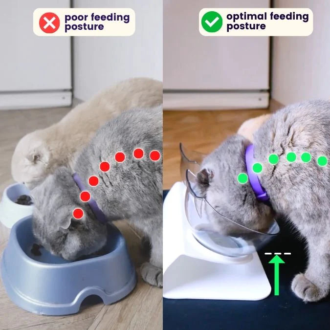 Anti-Vomit Cat Bowl (Elevated)