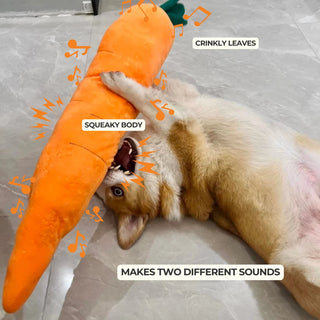 Let the squeak work