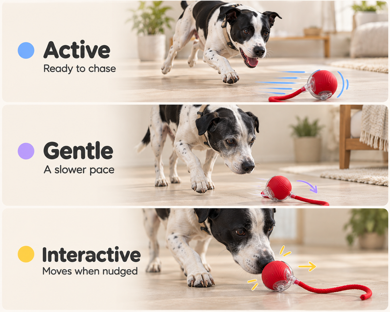 3 smart play modes