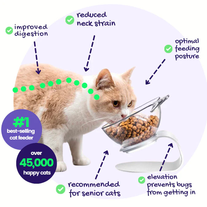 Anti-Vomit Cat Bowl (Elevated)