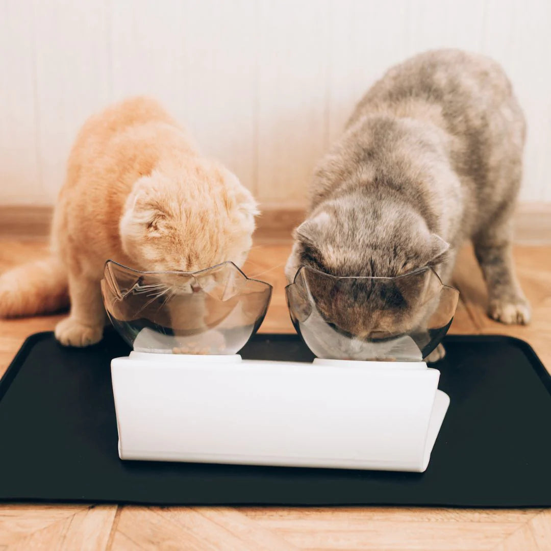 Anti-Vomit Cat Bowl (Elevated)