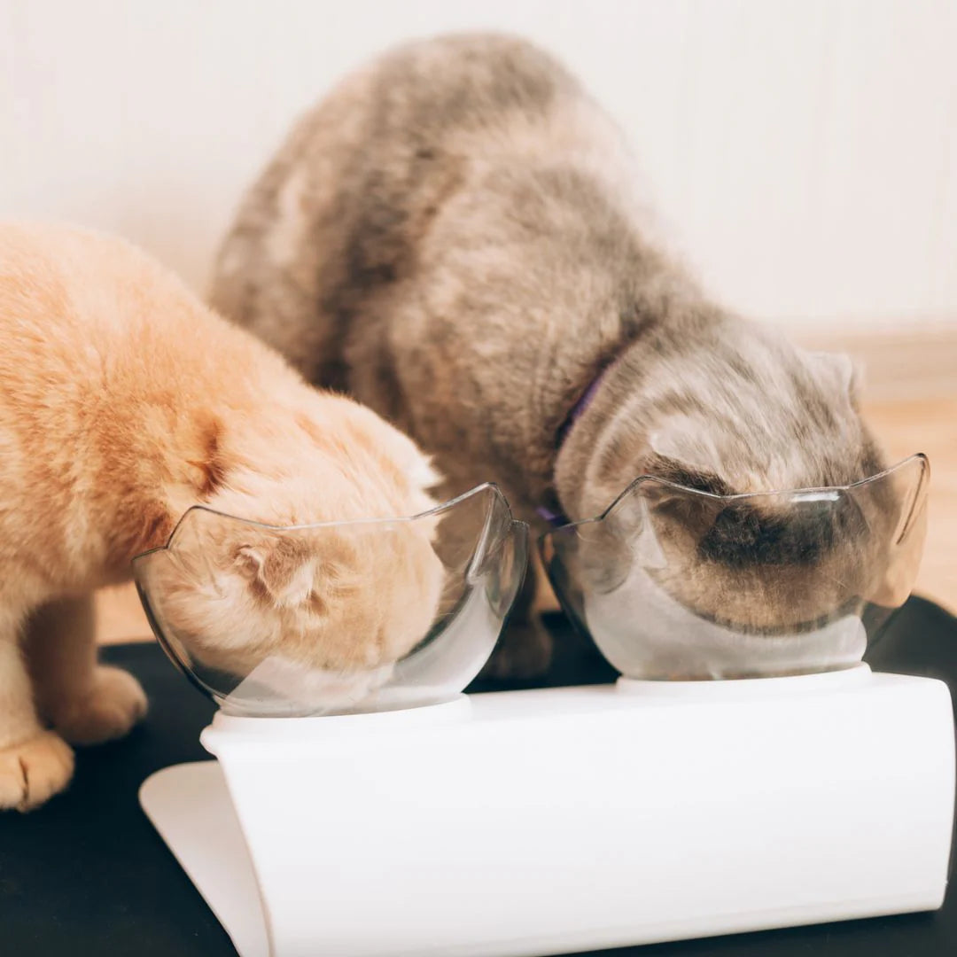 Anti-Vomit Cat Bowl (Elevated)