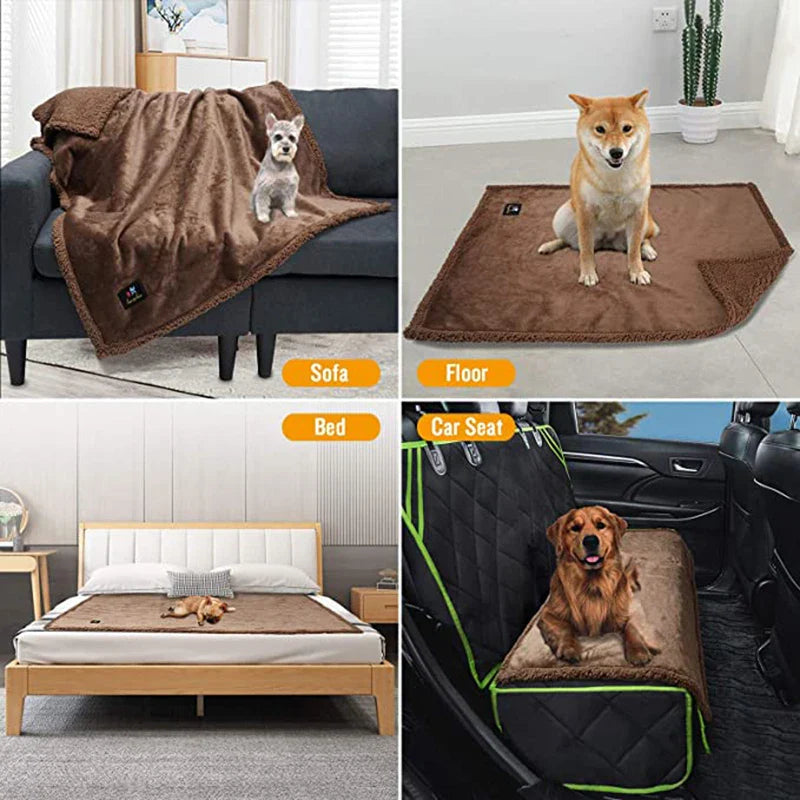 Pee-Proof Warm Blanket