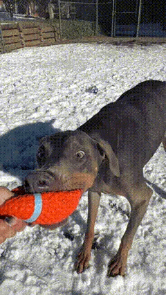 A textured surface that works while they play