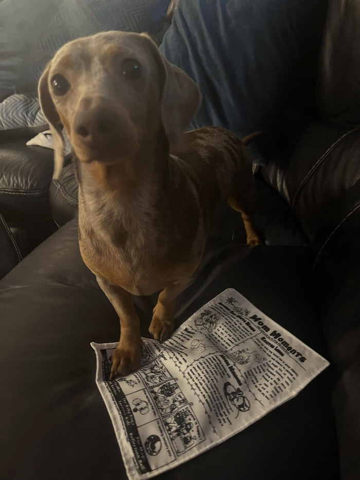 @freya_the_dachshund with The PuppyTimes