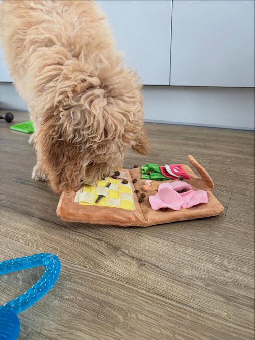🧸 Doubles as a boredom buster