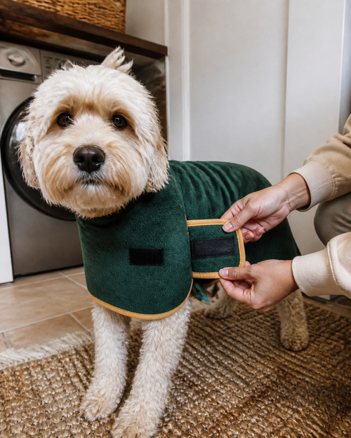 Hook-and-loop closure being adjusted on the dog robe