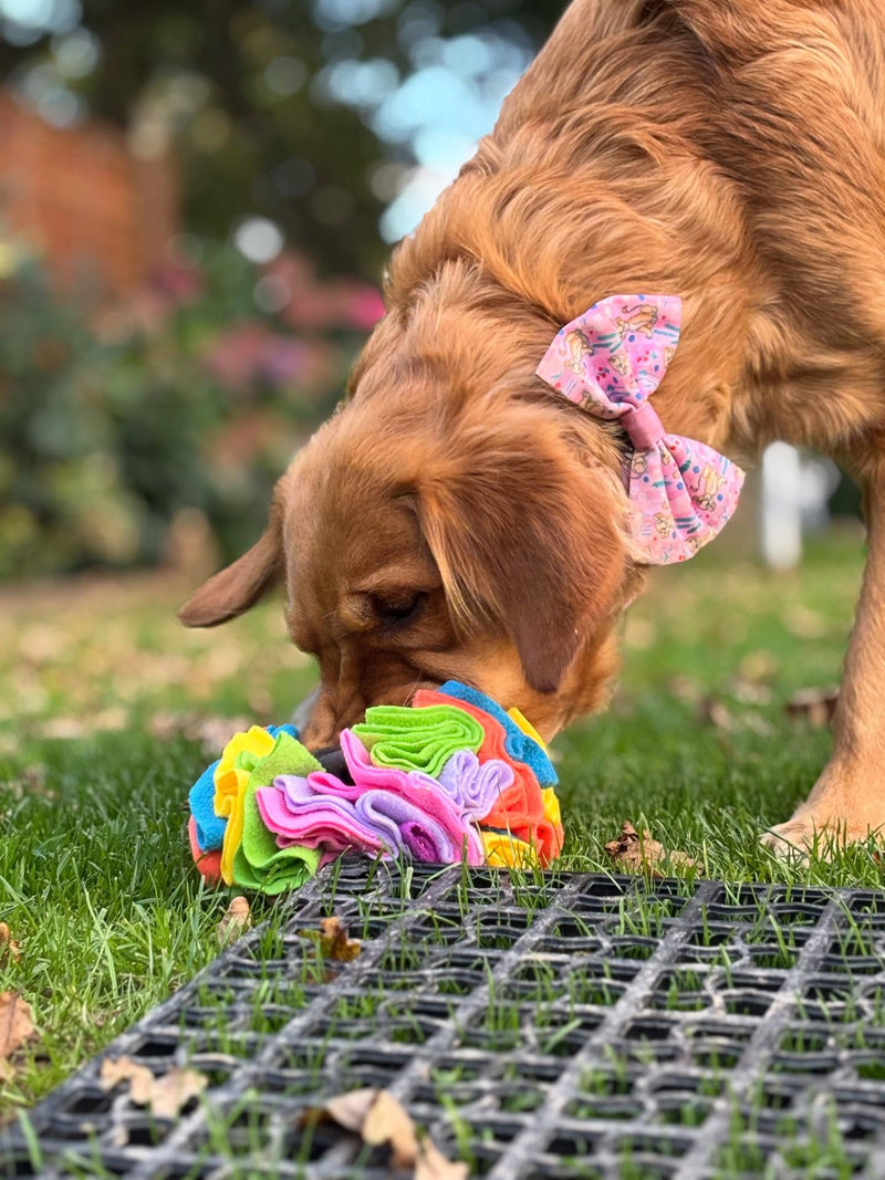 SniffPro