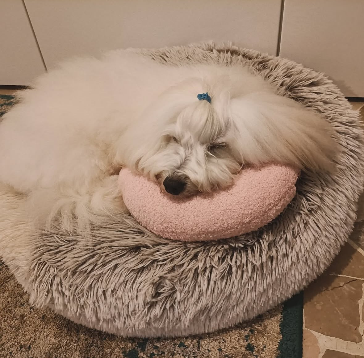Tiny Paws Calming Pillow