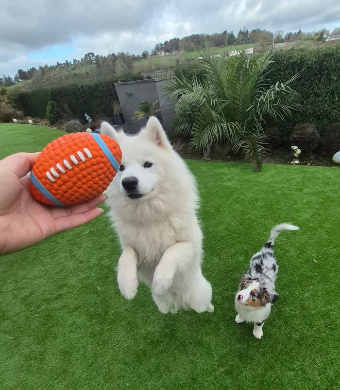 @thetinypawsofficial with The Tough-Bite
