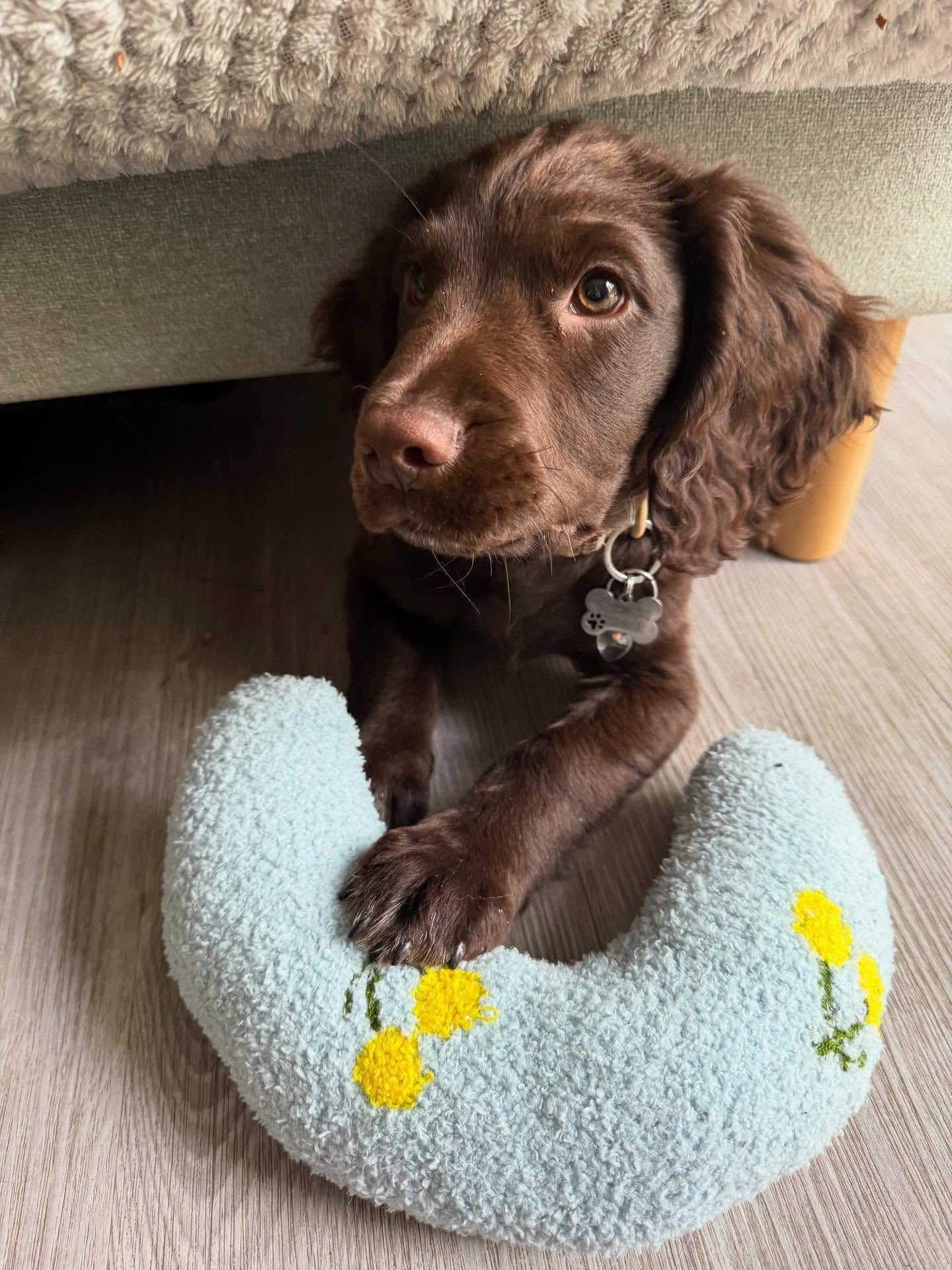 Photo shared by @enzosprocker