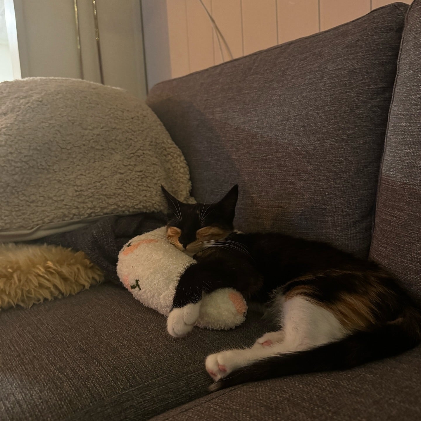 Photo shared by @purrfectpippi