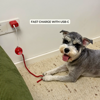 Interactive Dog Walker (Anti-Anxiety)
