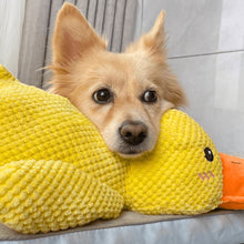 The Calming Duck™ — Comfort & Anxiety Relief