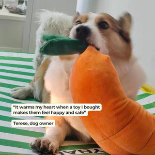 Watch them settle