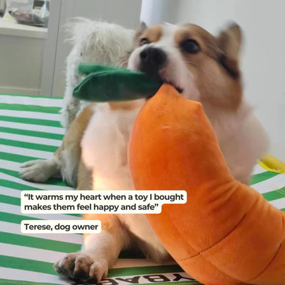 Calming Carrot