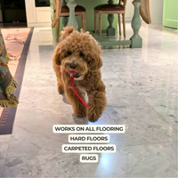 Interactive Dog Walker (Anti-Anxiety)