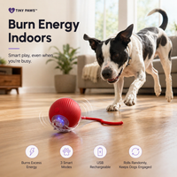 Interactive Dog Walker (Anti-Anxiety)
