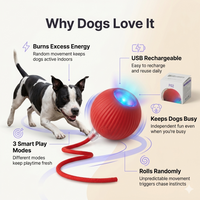 Interactive Dog Walker (Anti-Anxiety)