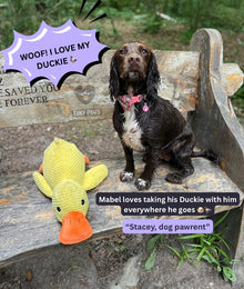 The Calming Duck™ — Comfort & Anxiety Relief