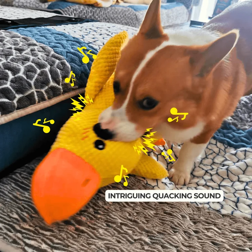 Calmly engaging
