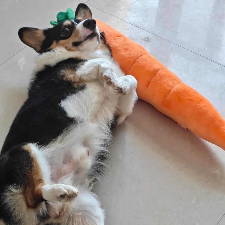 Calming Carrot