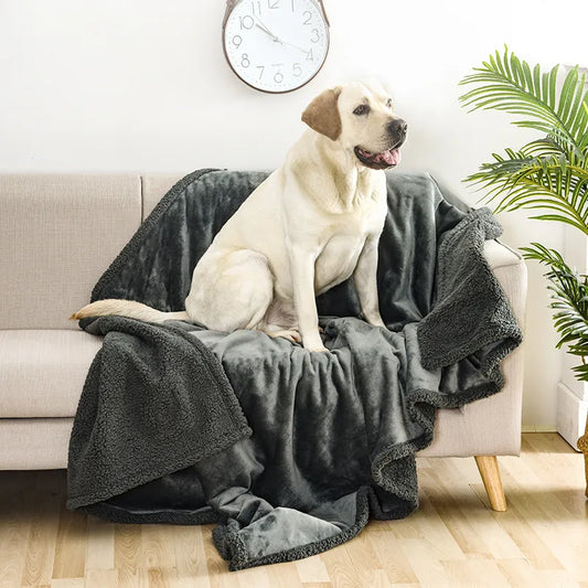 Pee-Proof Warm Blanket