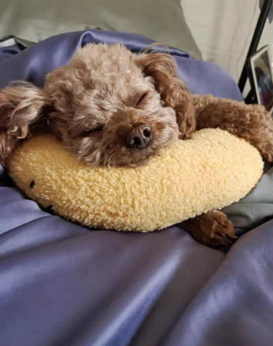 Calming Warm Dog Pillow
