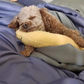 Calming Warm Dog Pillow