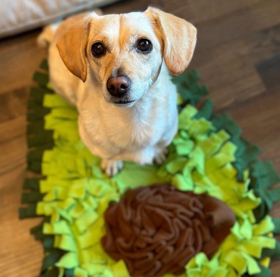 A pet enjoying the AvoSniff avocado snuffle mat