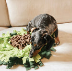 A pet enjoying the AvoSniff avocado snuffle mat