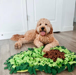 AvoSniff avocado snuffle mat — pet enjoying the mat