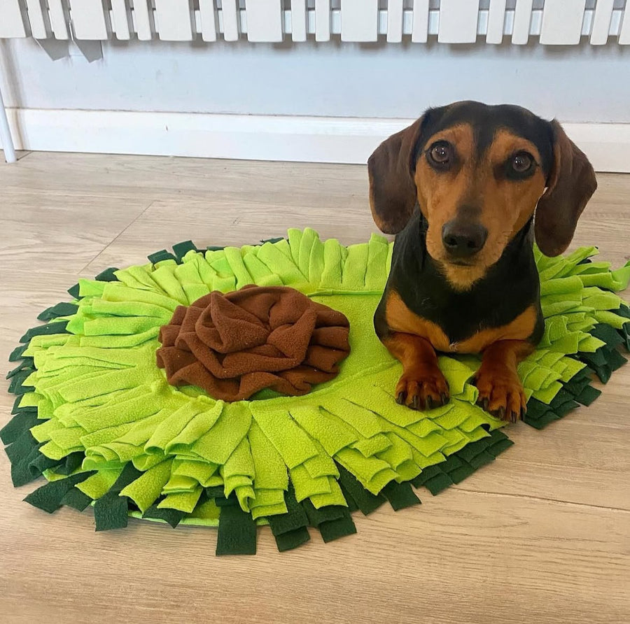 A pet enjoying the AvoSniff avocado snuffle mat