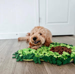 AvoSniff avocado snuffle mat — pet enjoying the mat