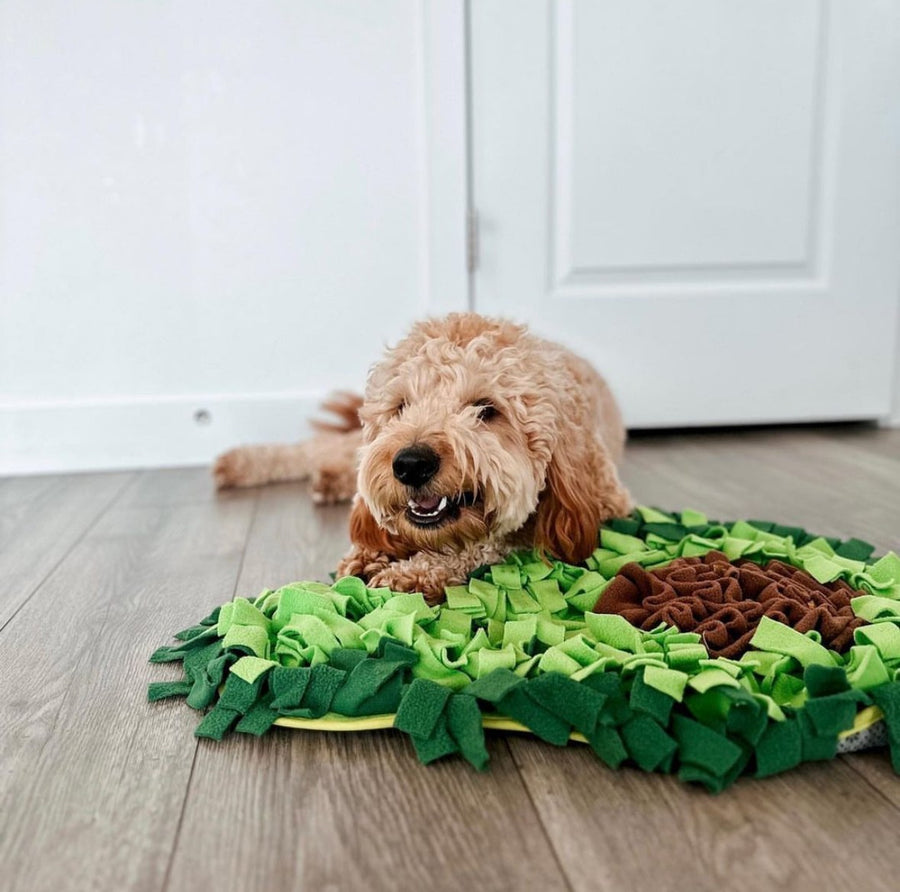 AvoSniff avocado snuffle mat — pet enjoying the mat