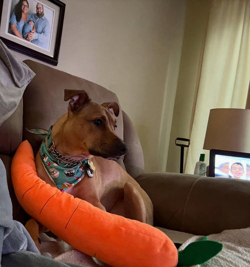 @tailsoftechtessandglitch