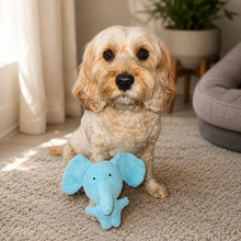 Calming Elephant hero — Luna with the blue corduroy elephant
