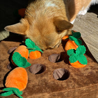 Game of Carrots