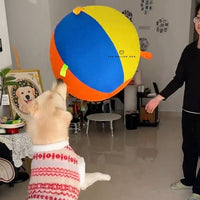 Dog playing fetch with the Calming Jumbo Ball indoors