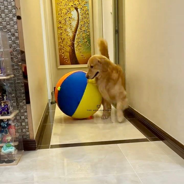 The Jumbo Ball