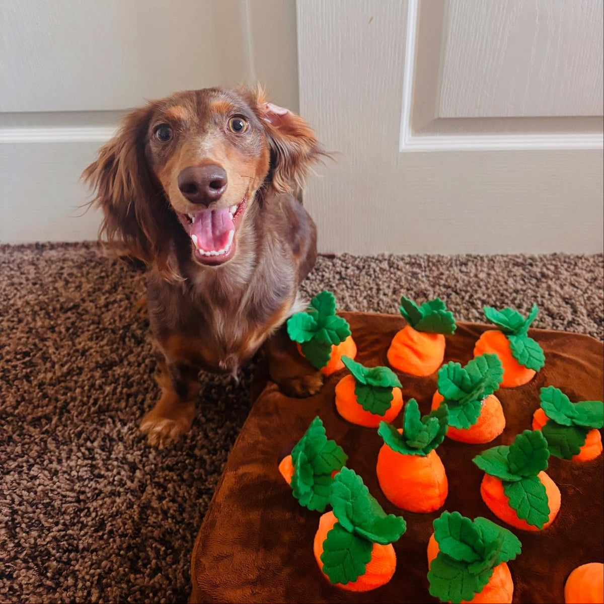 Game of Carrots