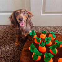 Game of Carrots