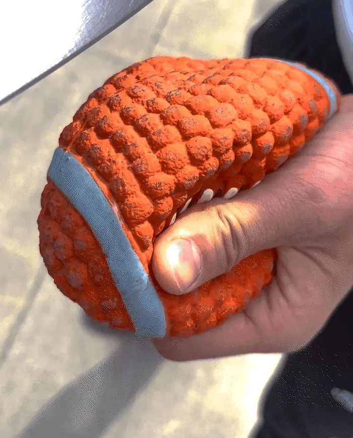 A tough shell that flexes instead of fighting their teeth