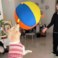 Calming Jumbo Ball