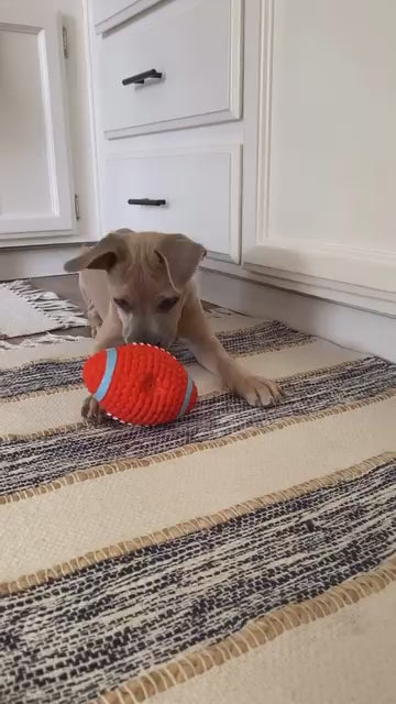 @nailahthecorso with the Tough-Bite Chew Toy