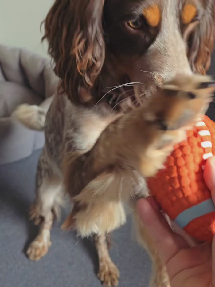 @heyduggee16 with the Tough-Bite Chew Toy