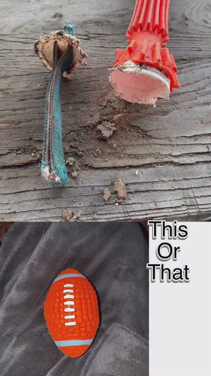 @lisannspencer with the Tough-Bite Chew Toy