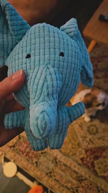 Calming Elephant customer video