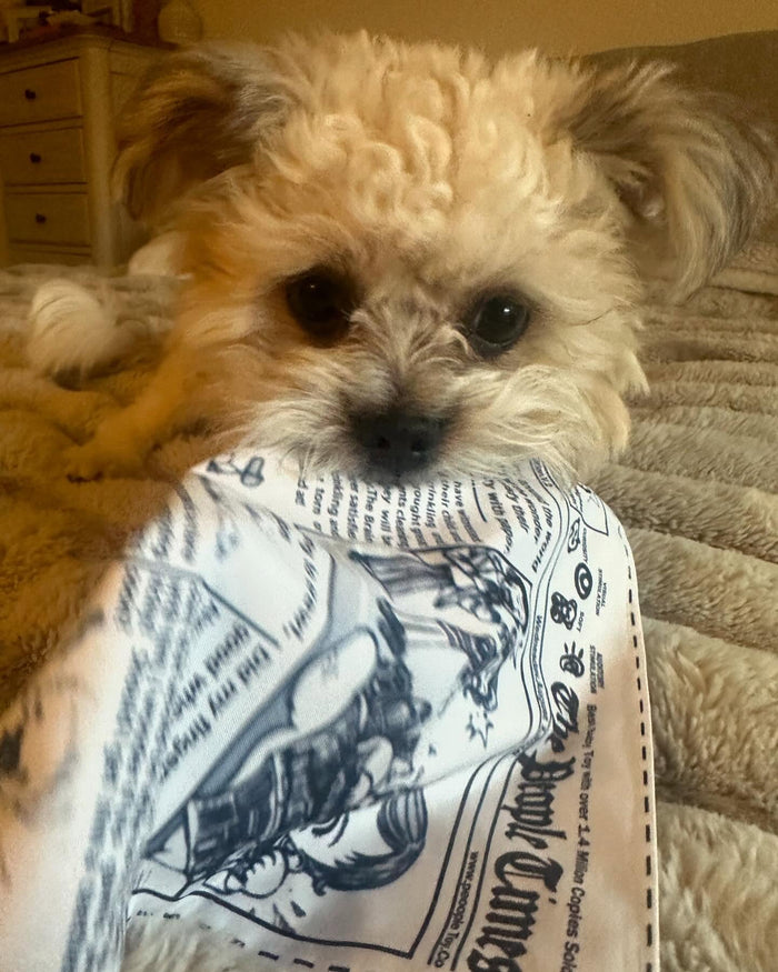 @benji_shih_poo with The PuppyTimes