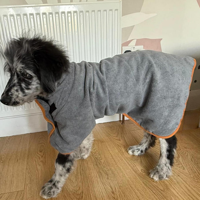 Indigo the Aussiedoodle dry and happy in the Tiny Paws robe, shared by @indigo_theaussiedoodle on Instagram